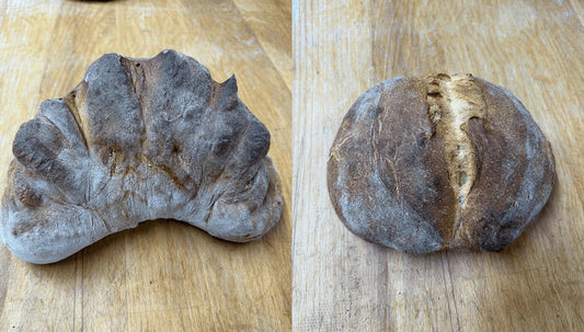 Pane di Matera alto e basso – Panificio Perrone