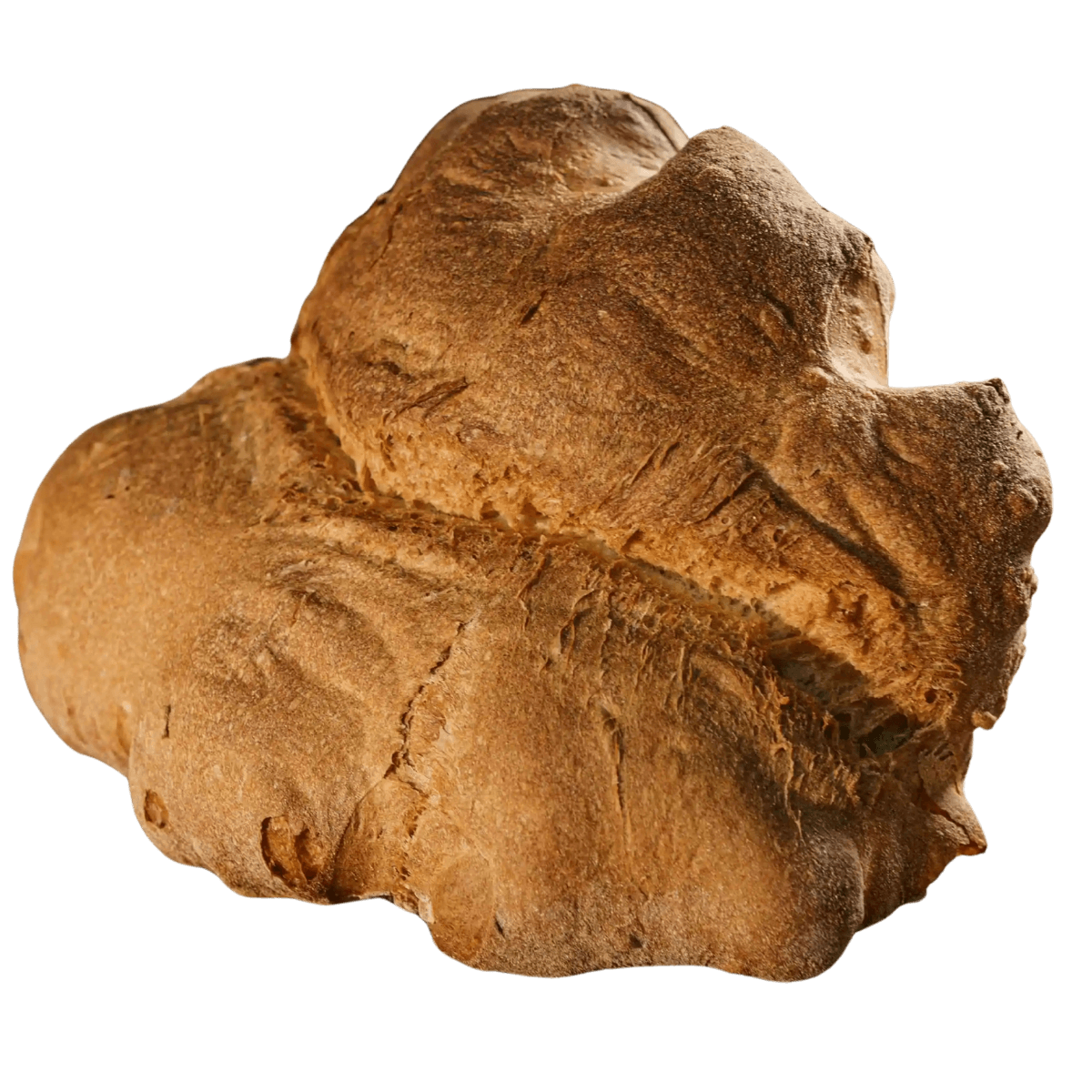 Immagine senza sfondo del pane di matera