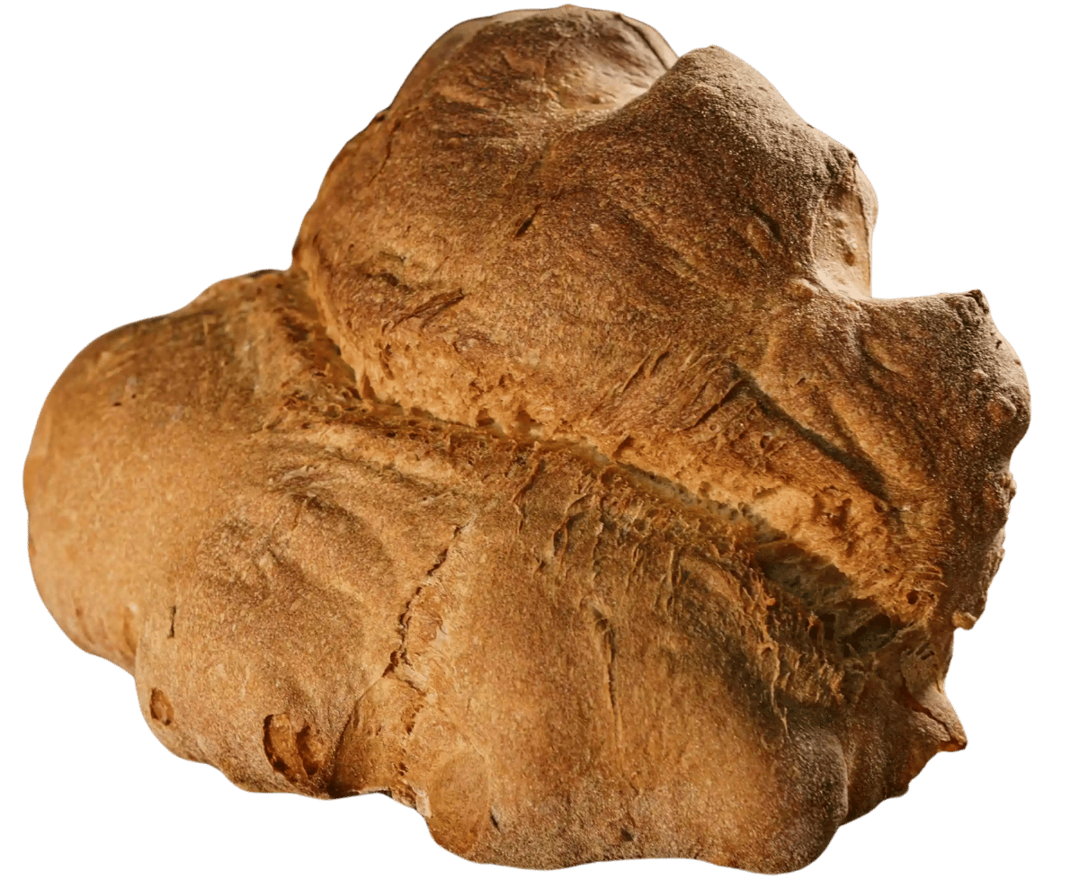 Processo di lavorazione del pane di Matera Perrone
