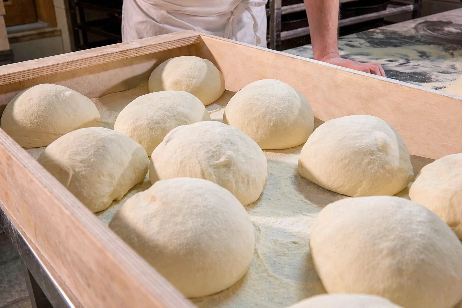 Panetti di impasto artigianale disposti in una cassetta di legno all’interno del laboratorio del panificio.