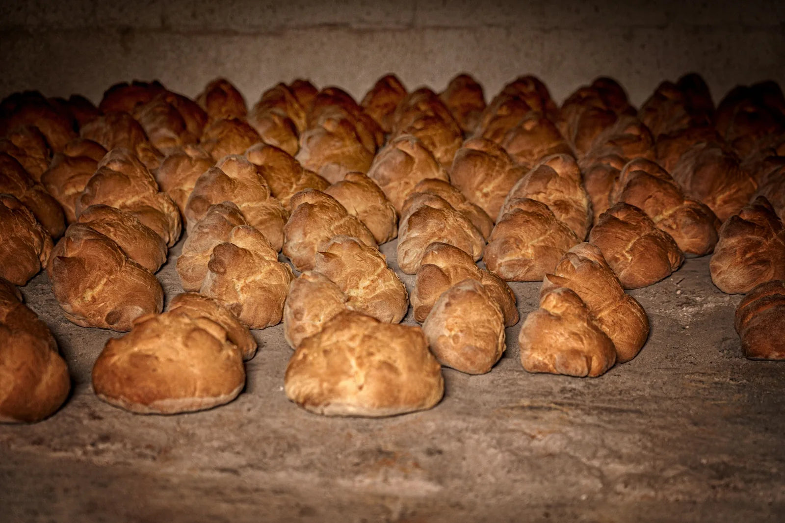 Pani artigianali dorati appena cotti all’interno del forno a legna.