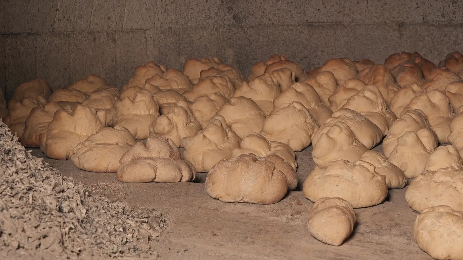 Pani artigianali appena inseriti nel forno a legna, ancora chiari e pronti per la cottura.